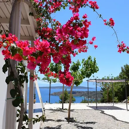 Avatonblue Nafplio *