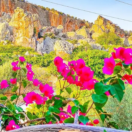 Avatonblue Nafplio
